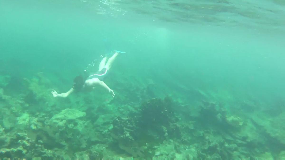 'Video thumbnail for Snorkeling in Isla Cholon - Islas Corales del Rosario Colombia'