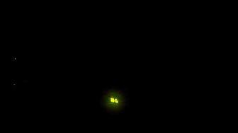 'Video thumbnail for Landing in Auckland at night'
