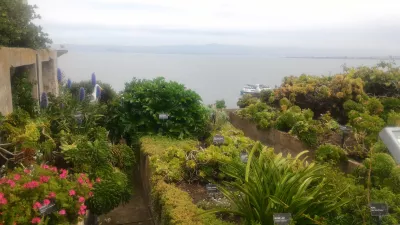 Is it worth to visit AlCatraz? AlCatraz tour review : Prison garden