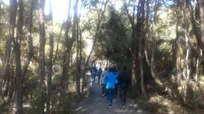 A visit of Wai-O-Tapu thermal wonderland and Lady Knox geyser : Walking towards Lady Knox geyser