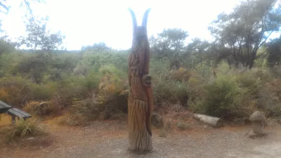 A visit of Wai-O-Tapu thermal wonderland and Lady Knox geyser : Wood sculptures