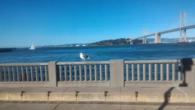 Camminando sul centro Embarcadero a San Francisco : Gabbiano di fronte al ponte di San Francisco - Oakland Bay