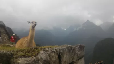 Enjoy A Well-Organized Trip To Discover A New World : A lama resting on top of Machu Picchu