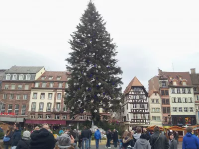 ตลาดคริสต์มาสที่ดีที่สุดในยุโรป Christkindlmarket : ต้นคริสต์มาสขนาดใหญ่ในสตราสบูร์กสำหรับคริสต์มาส