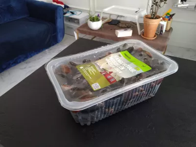 Mad Levering Warszawa - Le Marché De Paris : Friske mussles leveret direkte fra Paris Rungis til Warszawa af @marcheDeparisfreshfood