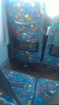 What is the best Auckland to Rotorua bus option? : Seats in a SKIP travel bus