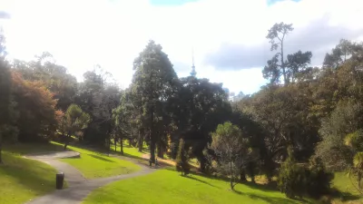 Cheap and free things to do in Auckland : Looking at the Sky Tower from the Western park