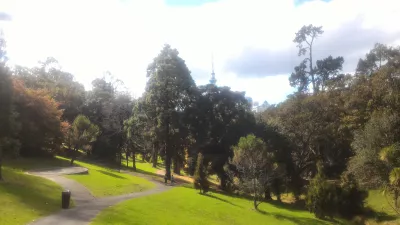 Murang at libreng mga bagay na dapat gawin sa Auckland : Tinitingnan ang Sky Tower mula sa Western park