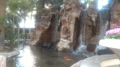 Cheap and free things to do in Las Vegas Nevada : Beautiful fishes in Flamingo hotelgarden