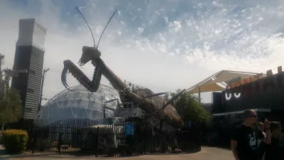 Cosas baratas y gratis para hacer en Las Vegas Nevada : Mantis religiosa en frente del parque de contenedores