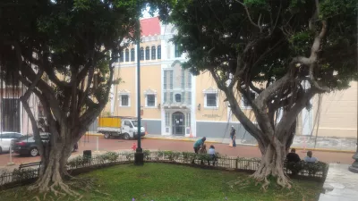 A 2 hours walk in Casco Viejo, Panama city : Beautiful trees next to national theatre Panama