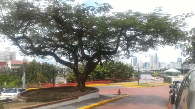 A 2 hours walk in Casco Viejo, Panama city : Tree on top of Casco Viejo