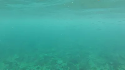 Isla Del Encanto, Cartagena: 1 day trip made easy : Rosario islands snorkeling fishes underwater