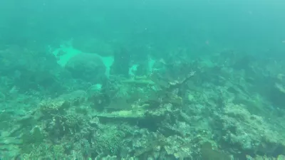 Isla Del Encanto, Cartagena: 1 day trip made easy : Corals underwater in the Caribbean sea