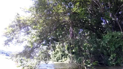 การเดินทางด้วยเรือคายัคในป่าฝน Gamboa บนทะเลสาบ Gatun : คนขี้เกียจป่าเห็น