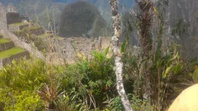 Come È Un Viaggio Di 1 Giorno A Machu Picchu, In Perù? : Arboreto nel centro della città