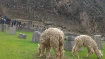 איך טיול קדוש פרו פרו יום אחד? : בתחתית חורבות Ollantaytambo