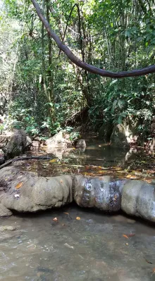 Thailand holiday : part four, Khao Sok and Trang : Jungle walk on the way to the cave
