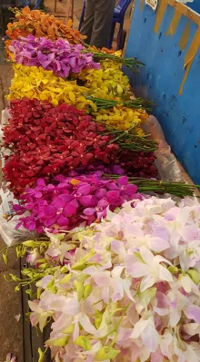 Thailand holiday: 3rd day, Bangkok center : Flower stall 