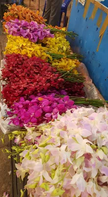 Taylandiya holiday: ika-3 araw, Bangkok center : Flower stall