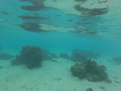 La mejor playa para bucear en el paraíso de la laguna de Tahití. : Snorkeling submarino