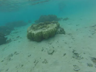 La mejor playa para bucear en el paraíso de la laguna de Tahití. : Snorkel en una de las mejores playas del mundo.