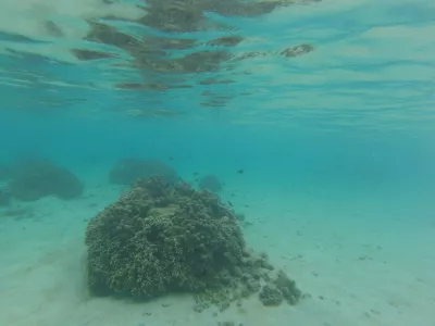 La meilleure plage de plongée en apnée du paradis de la lagune de Tahiti : Meilleur snorkeling au monde