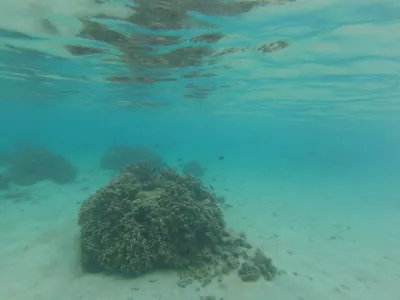 Nejlepší pláž šnorchlování v ráji laguny Tahiti : Nejlepší šnorchlování na světě