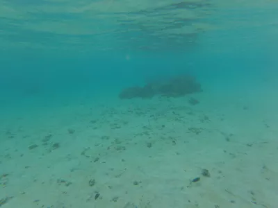 Den bedste snorkling strand i Tahiti lagun paradis : En af de bedste snorkelpladser i verden