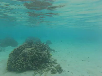 Nejlepší pláž šnorchlování v ráji laguny Tahiti : Jeden z nejlepších míst pro šnorchlování na světě