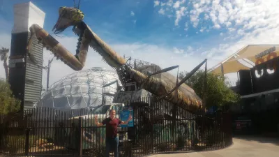 Brunch at container park Las Vegas and its praying mantis : In front of the praying mantis