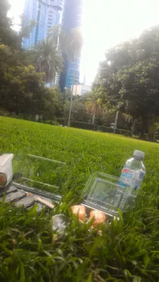 Unique and cheap things to do in Brisbane to never be bored in Brisbane! : Sushis in the grass under skyscrappers