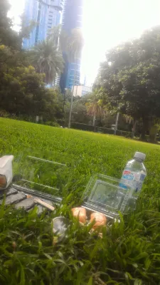 Einzigartige und günstige Aktivitäten in Brisbane, damit Sie sich in Brisbane nie langweilen! : Sushis im Gras unter Wolkenkratzern