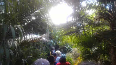 Joining the only free walking tour Auckland : Going deeper in the vegetation