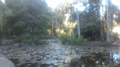 Paano ang libreng paglakad sa Brisbane? : Pond sa City Botanic Gardens