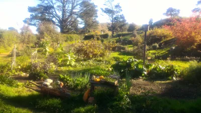 Hobbiton movie set tour, a visit of the hobbit village in New Zealand : Garden in the center of the Hobbit village