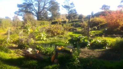 Hobbiton filmset tour, een bezoek aan het hobbitdorp in Nieuw-Zeeland : Tuin in het centrum van het Hobbit-dorp