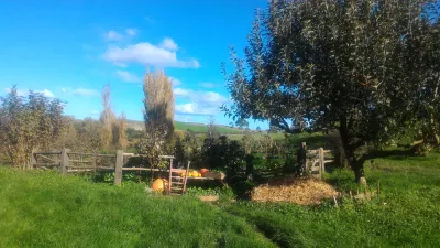 Hobbiton movie set tour, a visit of the hobbit village in New Zealand : Jardin près d'une maison de hobbit