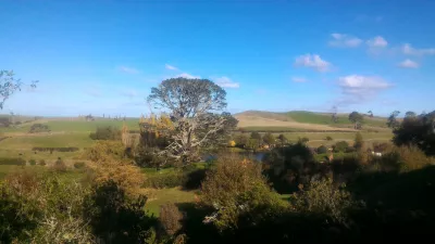 Hobbiton movie set tour, a visit of the hobbit village in New Zealand : Majestic tree next to the village