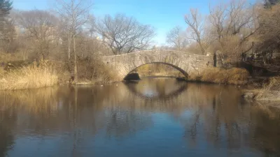 New York Central park free walking tour : Usual mandarin duck's location under the bridge