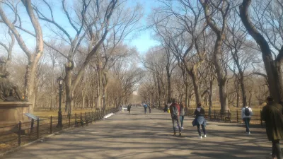 Freier Rundgang durch den New York Central Park : Gerade Gasse im Central Park