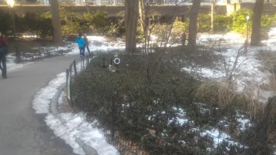 Freier Rundgang durch den New York Central Park : Gehen Sie im Central Park