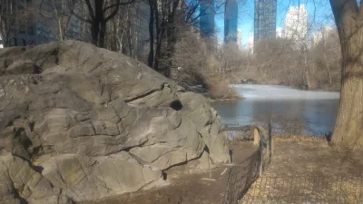 New York Central park free walking tour : Natural rock and planned parkin front of skyscrappers