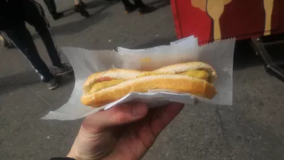 NYC grand central free tour : New York street hot dog