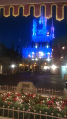 Como é uma visita de um dia no Magic Kingdom da Disney? : Patos olhando as luzes do castelo da Cinderela à noite