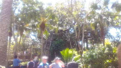How is a one day visit at Disney's Magic Kingdom? : Robinson Crusoe style trees playground