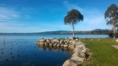 Une promenade sur la passerelle du lac Rotorua : Regarder les oiseaux