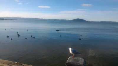 A walk on the Rotorua lake walkway : Birds near the piers