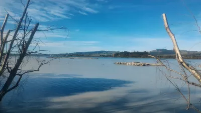 A walk on the Rotorua lake walkway : Birds on a small piece of land on the lake