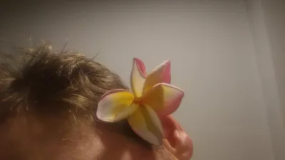 What is the Tahitian flower tradition? : Wearing a flower behind left flower ear